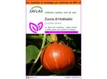 Saflax Garden In The Bag - Zucca Di Hokkaido - 10 Semi - Cucurbita
