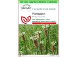 Saflax Garden To Go - Piantaggine - 100 Semi - Plantago