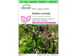 Saflax Garden To Go - Basilico Cannella - 200 Semi - Ocimum