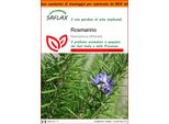 Saflax Garden In The Bag - Rosmarino - 100 Semi - Rosmarinus