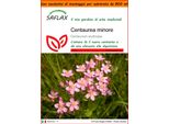 Saflax Garden In The Bag - Centaurea Minore - 250 Semi - Centaurium