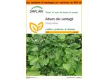 Saflax Garden In The Bag - Albero Dei Ventagli - 4 Semi - Ginkgo