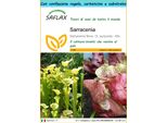 Saflax Set Regalo - Sarracenia - 10 Semi - Sarracenia