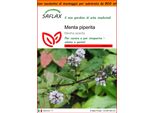 Saflax Garden In The Bag - Menta Piperita - 300 Semi - Mentha
