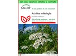 Saflax Garden To Go - Achillea Millefoglie - 200 Semi - Achillea
