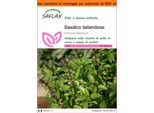Saflax Garden In The Bag - Basilico Tailandese - 200 Semi - Ocimum