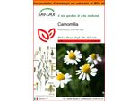 Saflax Garden In The Bag - Camomilla - 300 Semi - Matricaria