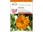 Saflax Garden In The Bag - Calendula - 50 Semi - Calendula