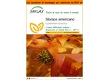 Saflax Garden In The Bag - Storace Americano - 100 Semi - Liquidamber