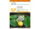 Saflax Garden In The Bag - Granadilla - 20 Semi - Passiflora