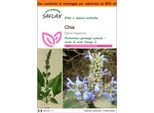 Saflax Garden In The Bag - Chia - 500 Semi - Salvia