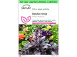 Saflax Garden To Go - Basilico Rosso - 200 Semi - Ocimum