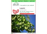Saflax Garden To Go - Luppolo - 50 Semi - Humulus