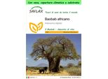 Saflax Garden To Go - Baobab Africano - 6 Semi - Adansonia