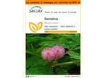 Saflax Garden In The Bag - Sensitiva - 70 Semi - Mimosa