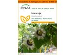 Saflax Garden In The Bag - Maracuja - 40 Semi - Passiflora