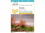 Saflax Set Regalo - Rosolida - 50 Semi - Drosera