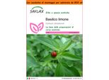 Saflax Garden In The Bag - Basilico Limone - 200 Semi - Ocimum