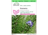 Saflax Garden To Go - Rosmarino - 100 Semi - Rosmarinus