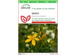 Saflax Garden To Go - Iperico - 300 Semi - Hypericum