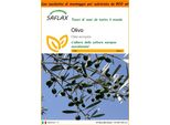 Saflax Garden In The Bag - Olivo - 20 Semi - Olea