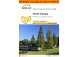 Saflax Garden In The Bag - Abete D'acqua - 60 Semi - Metasequoia