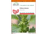 Saflax Garden In The Bag - Ortica Minore - 150 Semi - Urtica