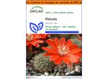 Saflax Garden In The Bag - Rebutia - 40 Semi - Rebutia