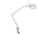 Lampada Da Lavoro Da Scrivania A Led Con Lente D'ingrandimento - Dimmerabile - 5 Diottrie - 60 Led - Bianco Caldo E Freddo