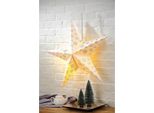 Fiocco Di Neve Poinsettia 60 Cm - Con 10 Led Bianco Caldo