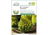 Saflax -- Cavolfiore - Romanesco - 50 Semi - Brassica