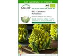 Saflax -- Cavolfiore - Romanesco - 50 Semi - Con Substrato - Brassica