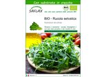Saflax - Bio - Rucola Selvatica - 1500 Semi - Con Substrato - Diplotaxis