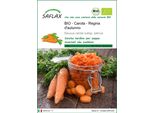 Saflax -- Carota - Regina D'autunno - 1000 Semi - Daucus