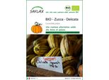 Saflax -- Zucca - Delicata - 6 Semi - Cucurbita