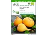 Saflax - Bio - Cavolo Rapa - Goldana - 500 Semi - Con Substrato - Brassica