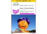 Saflax Insieme Di Coltivazione - Zucca - Zucca Lanterna - 10 Semi - Cucurbita