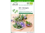 Saflax -- Borragine - 40 Semi - Con Substrato - Borago