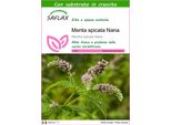 Saflax - Menta Spicata Nana - 500 Semi - Con Substrato - Mentha