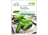 Saflax -- Cetriolo - Vorgebirgstraube - 15 Semi - Cucumis