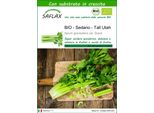 Saflax -- Sedano - Tall Utah - 500 Semi - Con Substrato - Apium