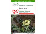 Saflax - Cardo Santo - 50 Semi - Con Substrato - Cnicus