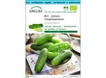 Saflax Set Regalo -- Cetriolo - Vorgebirgstraube - 15 Semi - Cucumis