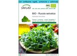 Saflax Set Regalo -- Rucola Selvatica - 1500 Semi - Diplotaxis