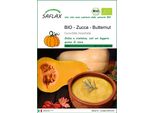 Saflax -- Zucca - Butternut - 6 Semi - Cucurbita