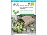 Saflax Set Regalo -- Cavoletti Di Bruxelles - Groninger - 30 Semi - Brassica