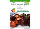 Saflax -- Peperone - Sweet Chocolate - 10 Semi - Con Substrato - Capsicum