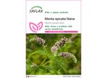 Saflax - Menta Spicata Nana - 500 Semi - Mentha