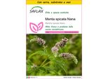 Saflax Insieme Di Coltivazione - Menta Spicata Nana - 500 Semi - Mentha