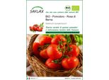 Saflax -- Pomodoro - Rosa Di Berna - 10 Semi - Solanum